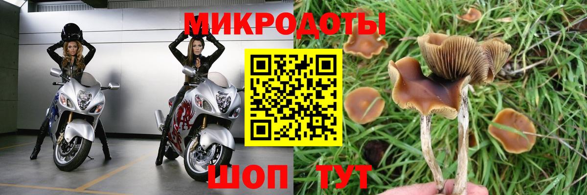 Озёрск  Галлюциногенные грибы MAGIC MUSHROOMS  Псилоцибиновые грибы Cubensis  Вход с VPN 